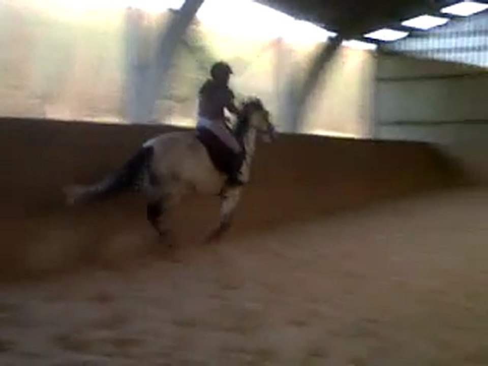 75cm Qualin (mauvaise qualité)