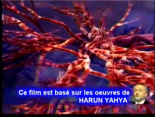 Islam - Le miracle de la respiration