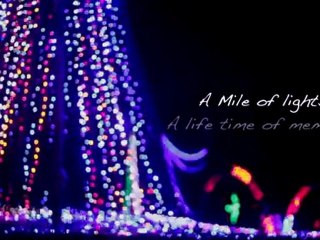 Adventure Park Christmas Teaser