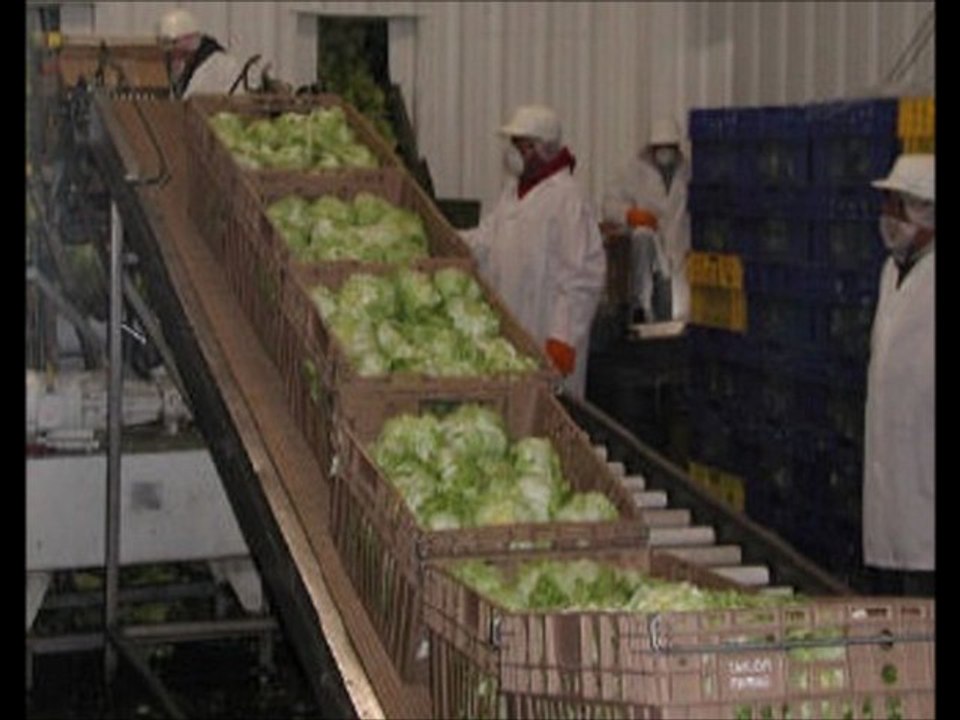 Environmental Monitoring--Signs of a Contamination Event with Karl Kolb, PhD.