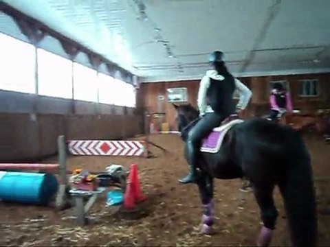 Ecurie Marjani - cours de saut