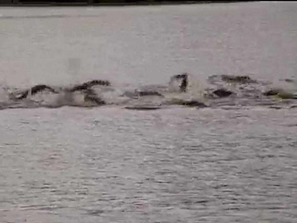 Triathlon Joue Les Tours 2000