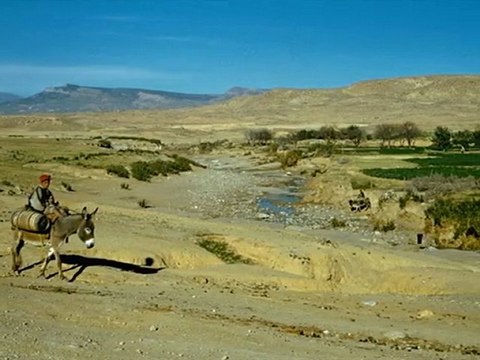 2/12éme rca algérie