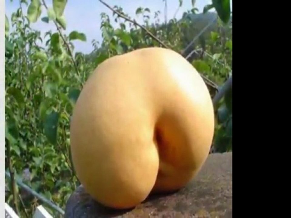 Plants that go bad - hilarious video of nature