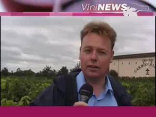 Château Carbonnieux vin wine