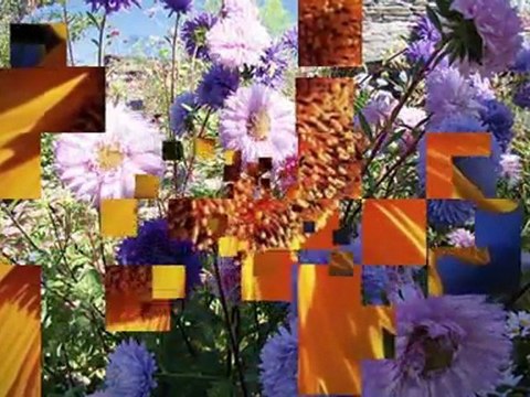 ERDAL ERZİNCAN-YAR SENİN DERDİNDEN