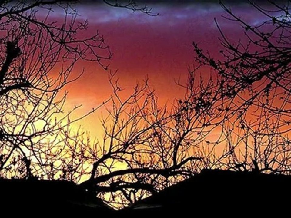 DES LARMES ET DU FEU SITE OK 16,9