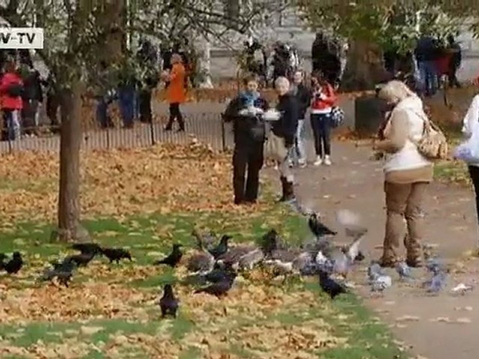 Britain: Anti-EU Sentiment | European Journal