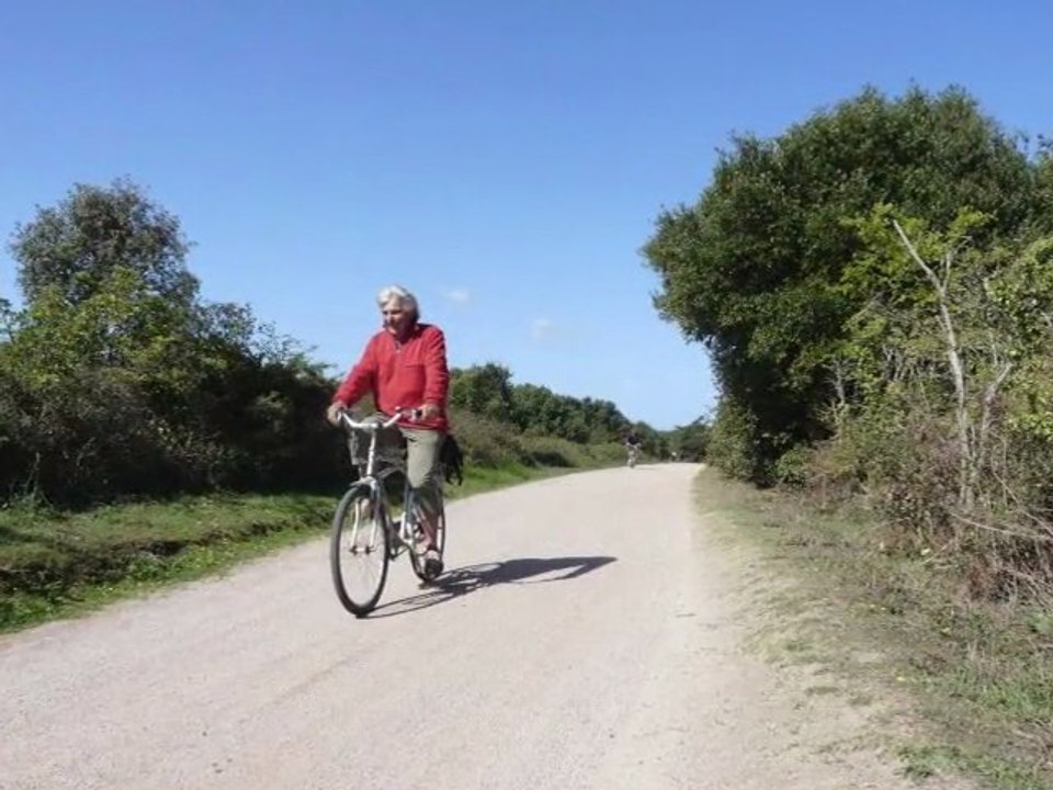 velo 2011