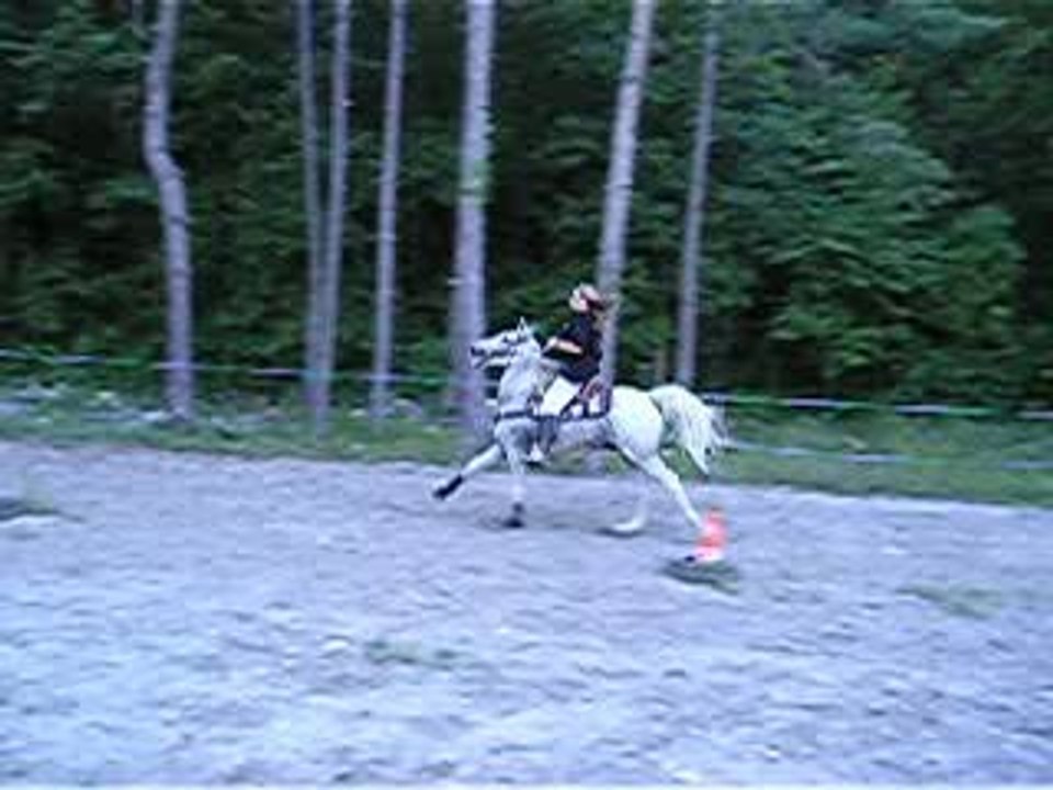 Pole Bending entrainement