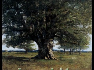 Georges Brassens-Le grand chêne