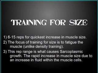 Visual Impact Muscle Building