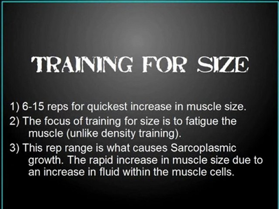 Visual Impact Muscle Building