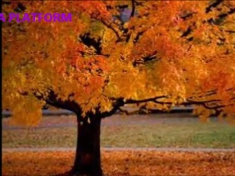 SİNAN ÖZEN KİMİM VAR 2010:::zeta platform::::