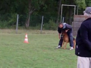 Dux du domaine de la brie