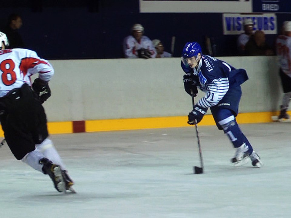 Français Volants / La Roche sur Yon - Résumé