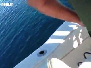 Un requin de 6 metres