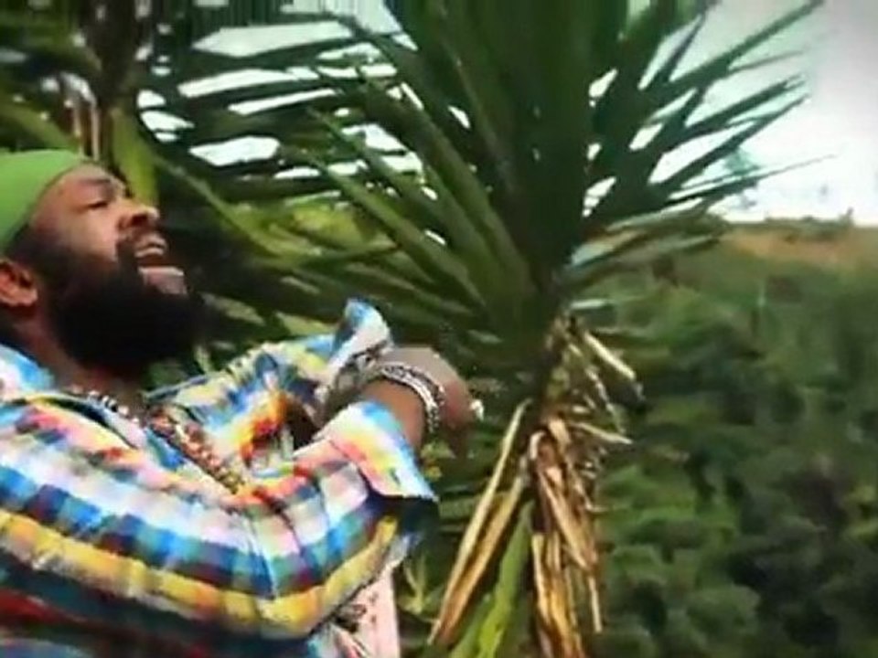 Capleton, Fanton Mojah, Luciano - Rising Medley