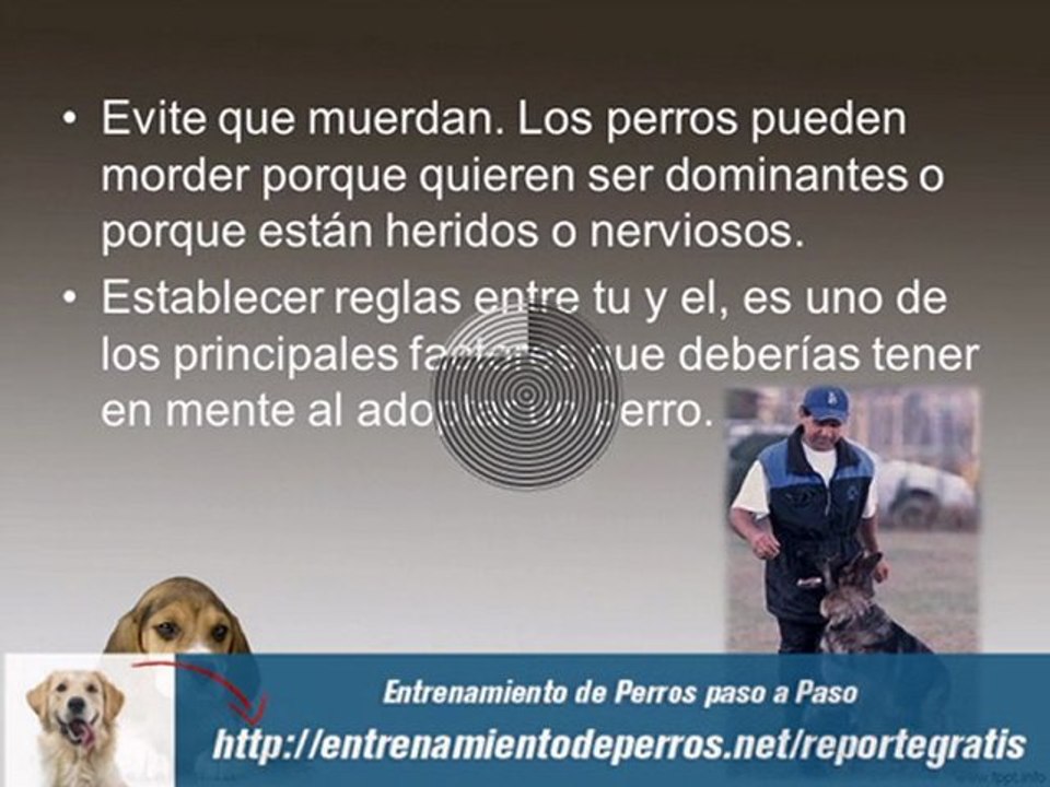 Video Curso de Entrenamiento Canino : Como Entrenar Perros