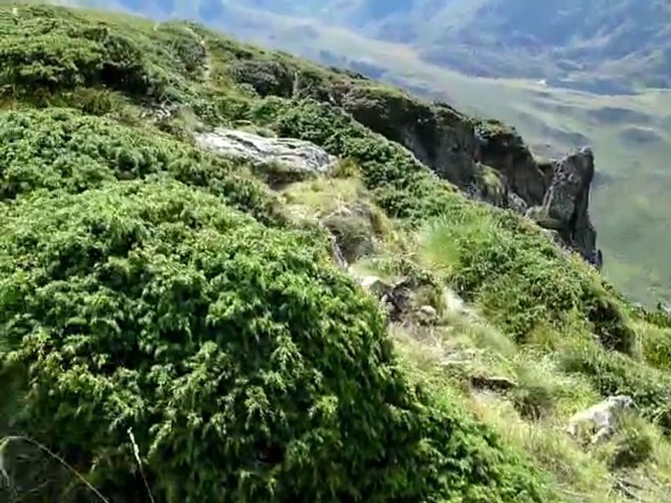 GR10 Ariégeois, crête des isards, Le  10/09/2011 à 15h32