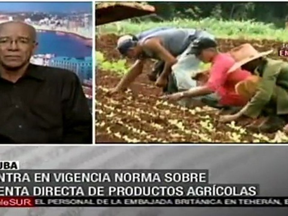 En vigor norma sobre venta directa de productos agrícolas