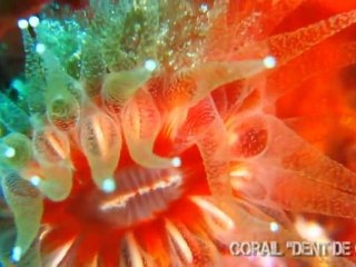 Couleurs de Méditerranée