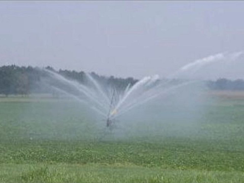 The testing of agricultural irrigation water for bacterial pathogens-Michael Casteel