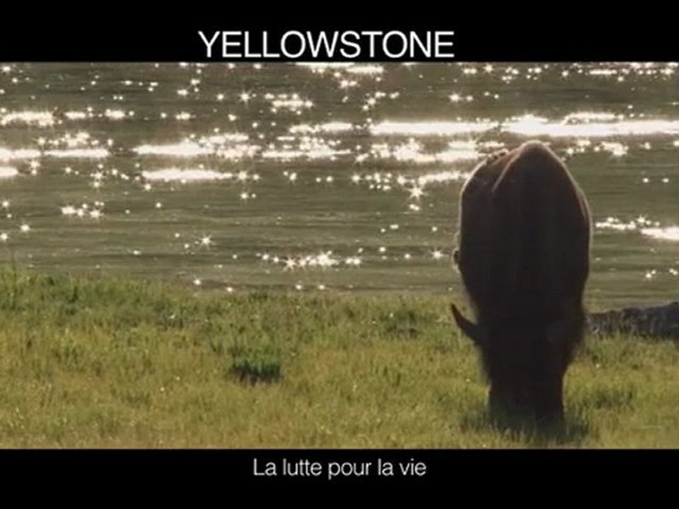 YELLOWSTONE-Bande-annonce