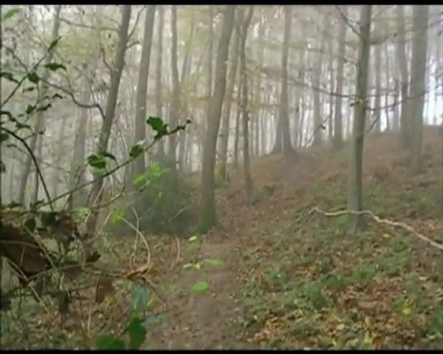 Ride du 20-11-11
