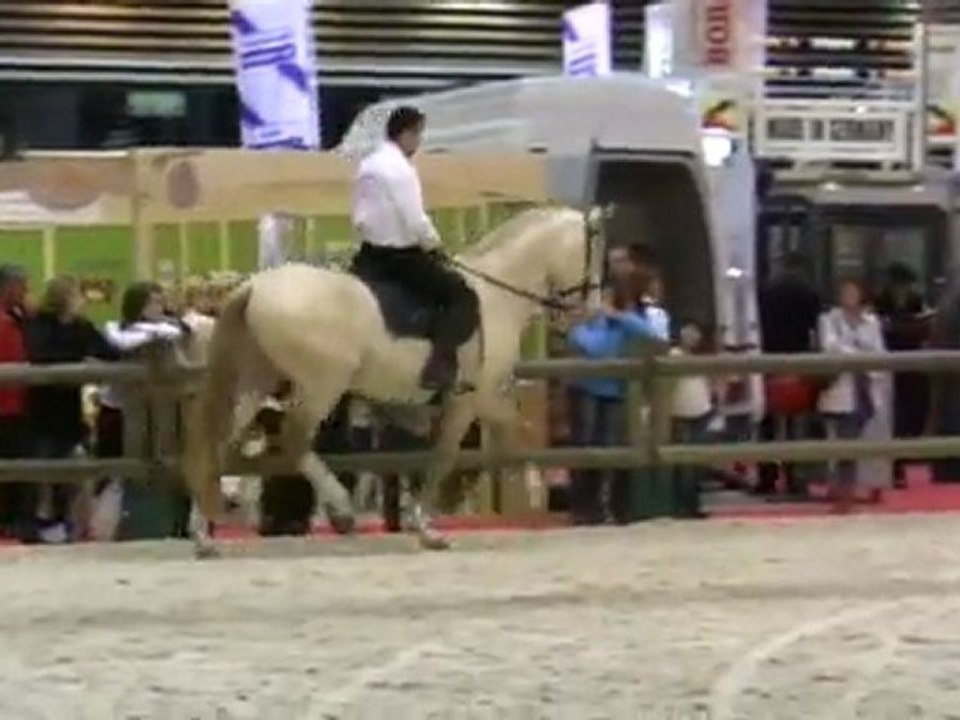 NAZARIO DE REPAND A  EQUITA LYON 2011