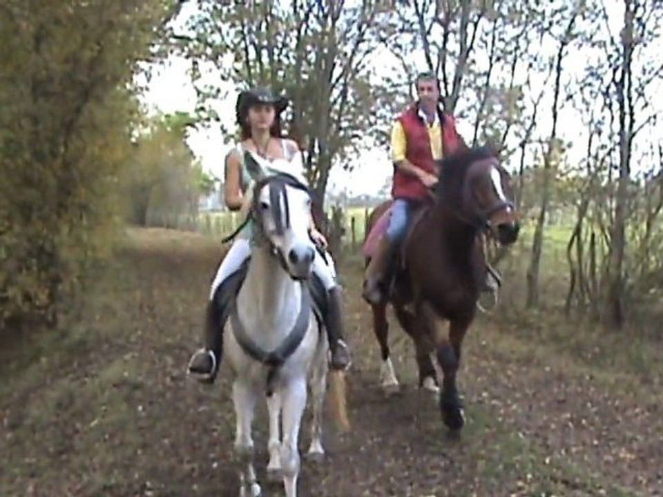 ballade en prairie à cheval