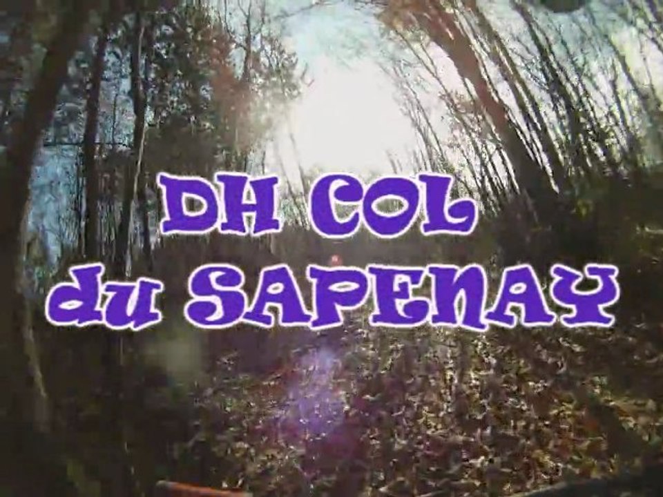 DH col du sapenay 2011 avec lolo-rs a la cam