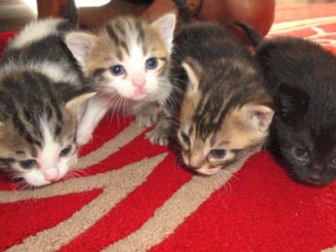 ça vient et ça s'en va