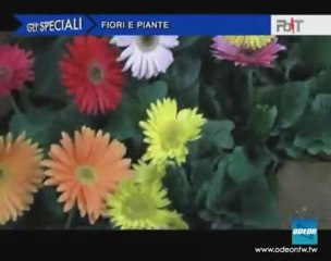 PROTAGONISTI DEL TEMPO - 16 marzo 2011