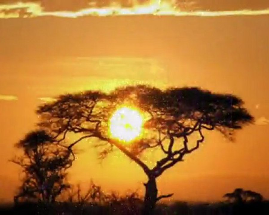 Segredo da Luz - Raul Seixas