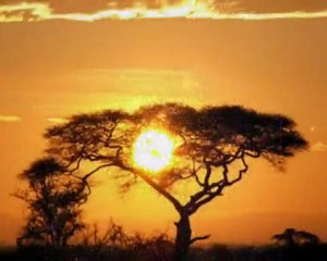 Segredo da Luz - Raul Seixas