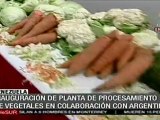 Inauguran en Táchira planta procesadora de vegetales