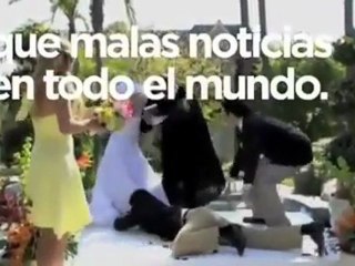 Coca Cola Razones para creer - Recomendada por Walter Meade