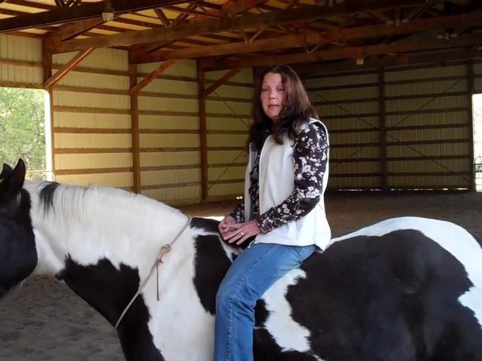 Nicker Natural Horse Treats Optimum Performance video Dailymotion