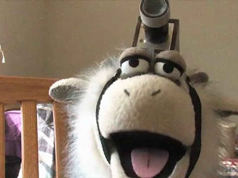 The Bob & Angus Show: Ram Cam 1