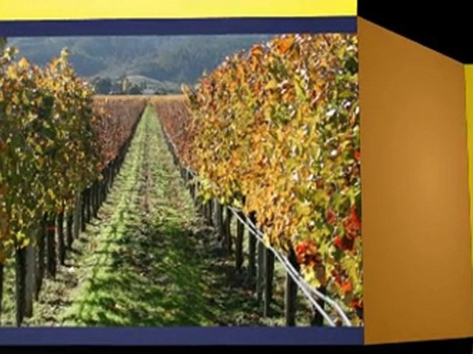 Dom Perignon Champagne for Special Events