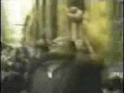 Funny clips - le suicide du chien humour