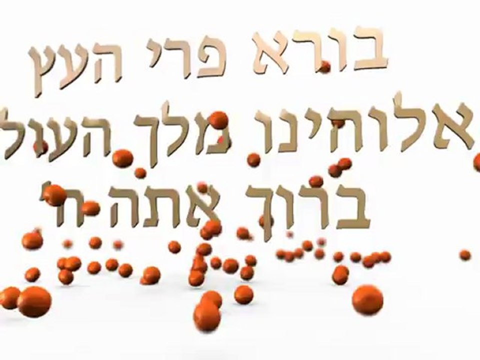 Torah Live - Oranges 01