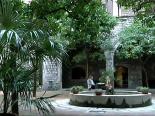 TV3 - Via llibre - Josep Ramoneda i Joan Francesc Mira