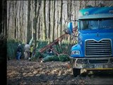 Pineton Tree Farms | 814-948-4990 | Christmas Trees in PA