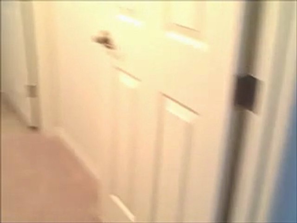 10738 Leatherstockings