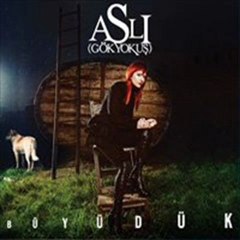 Sözler Tükendiğinde (Aslı Gökyokuş)
