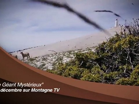 Bande Annonce - Le Géant Mystérieux