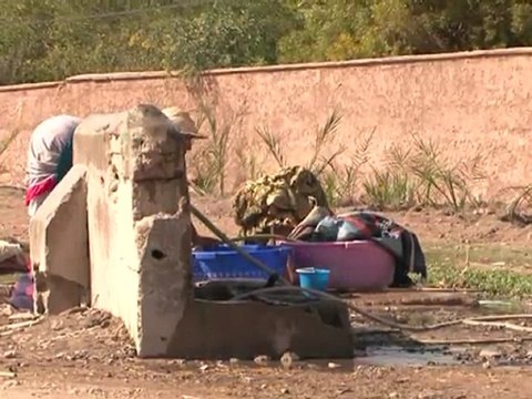 Bedrohte Palmen: Tourismus in Marokko gefährdet die Natur