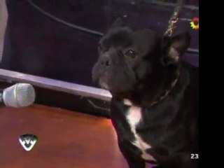 Paula en SM 3 (jurado) - 01 de Diciembre